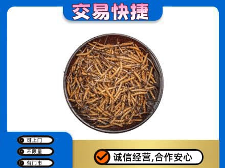 九江湖口县回收散虫草